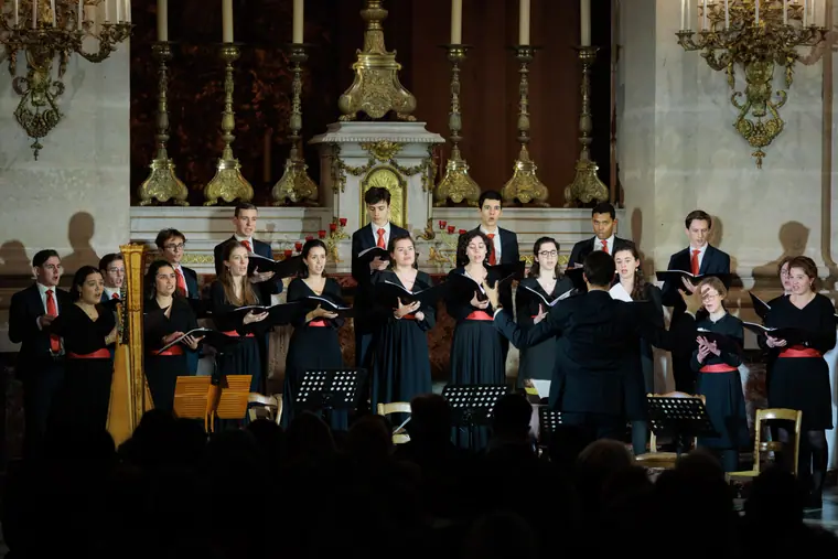 Concert à la cathédrale Saint-Louis de Versailles, photo 9