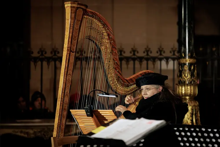 Concert à la cathédrale Saint-Louis de Versailles, photo 15